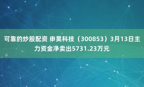 可靠的炒股配资 申昊科技（300853）3月13日主力资金净卖出5731.23万元