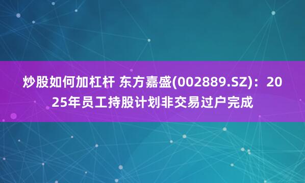 炒股如何加杠杆 东方嘉盛(002889.SZ)：2025年员工持股计划非交易过户完成