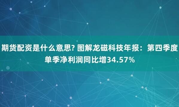 期货配资是什么意思? 图解龙磁科技年报：第四季度单季净利润同比增34.57%