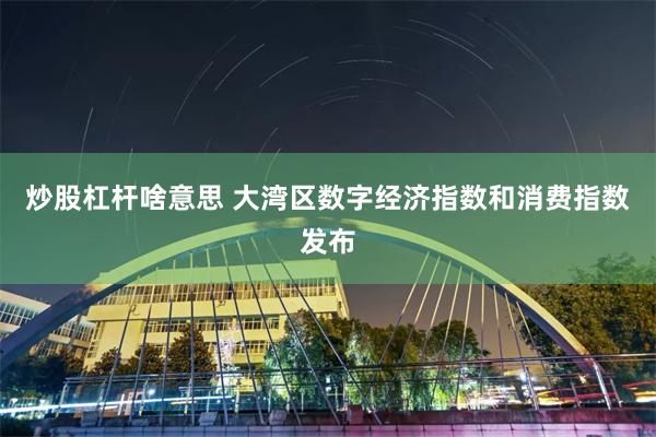 炒股杠杆啥意思 大湾区数字经济指数和消费指数发布