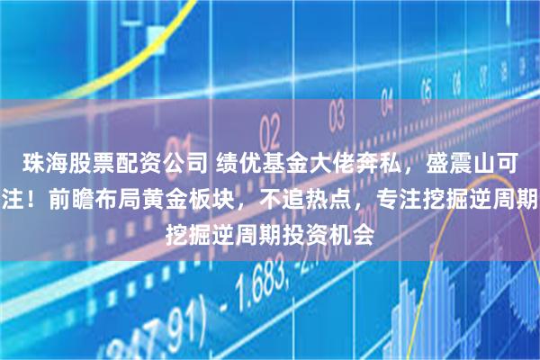 珠海股票配资公司 绩优基金大佬奔私，盛震山可平替引关注！前瞻布局黄金板块，不追热点，专注挖掘逆周期投资机会