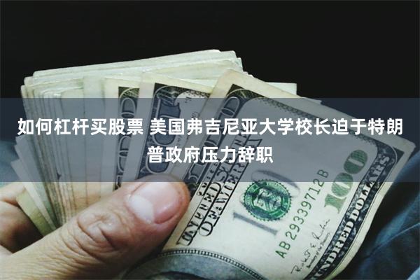 如何杠杆买股票 美国弗吉尼亚大学校长迫于特朗普政府压力辞职